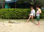 Lizards on Palomino Island
